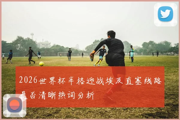 2026世界杯辛格迎战埃及直塞线路是否清晰热词分析