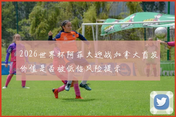 2026世界杯阿菲夫迎战加拿大首发价值是否被低估风险提示