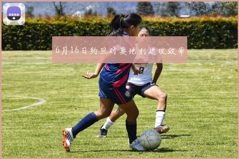 6月16日约旦对奥地利进攻效率