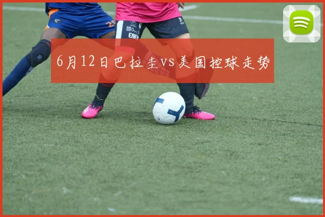 6月12日巴拉圭vs美国控球走势
