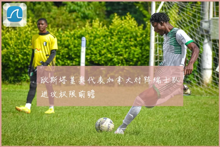欧斯塔基奥代表加拿大对阵瑞士队进攻权限前瞻